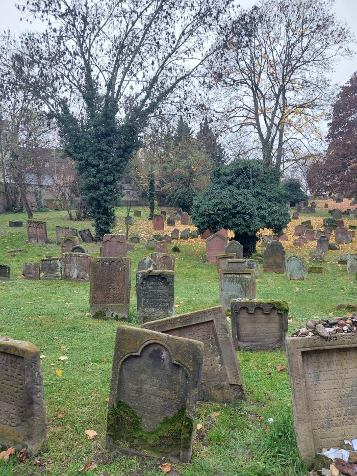 Blick auf die Grabsteine des jüdischen Friedhofs; die ältesten sind fast 1000 Jahre alt Foto: Petra Kiefer
